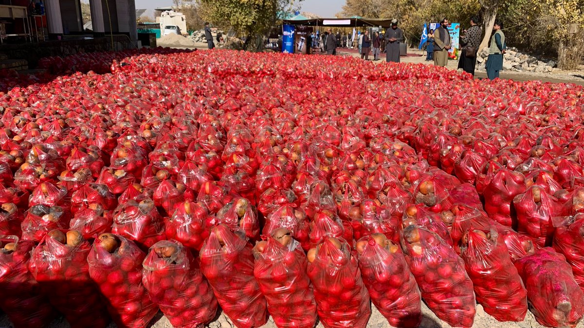ريحان الأفغاني tweet media