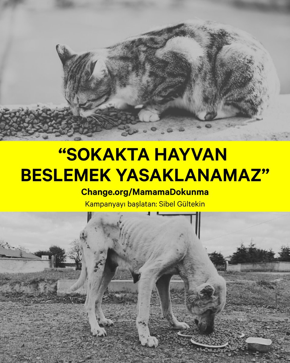 "Onları açlığa, susuzluğa terk etmek çözüm değil, zulümdür."

Sibel Gültekin'in başlattığı kampanya sokak hayvanlarının beslenmesini yasaklayan kararların hemen kaldırılmasını talep ediyor.

"Bir kap su vermek, bir avuç mama uzatmak suç değil merhamettir.

Alınan bu yasakların