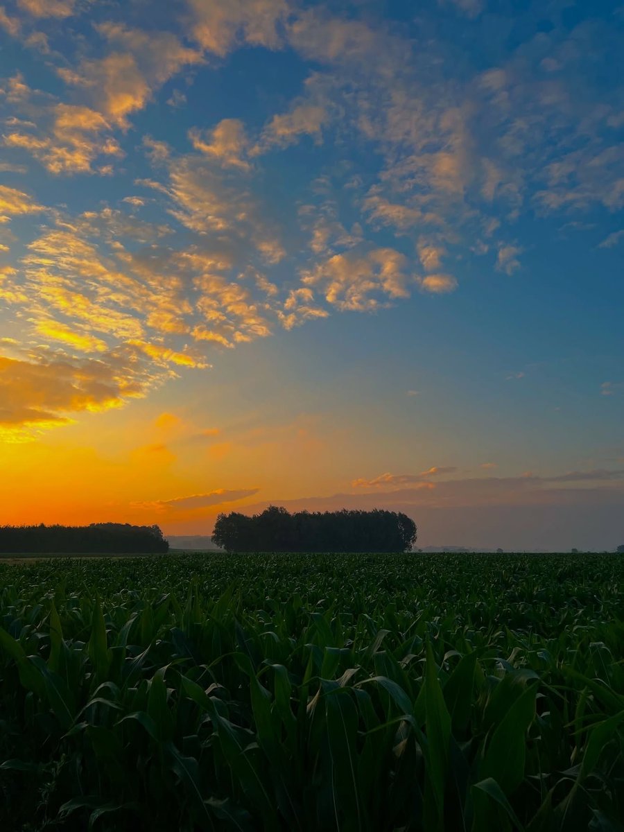 0͏0͏:0͏0͏ (@0hour0minute) on Twitter photo 