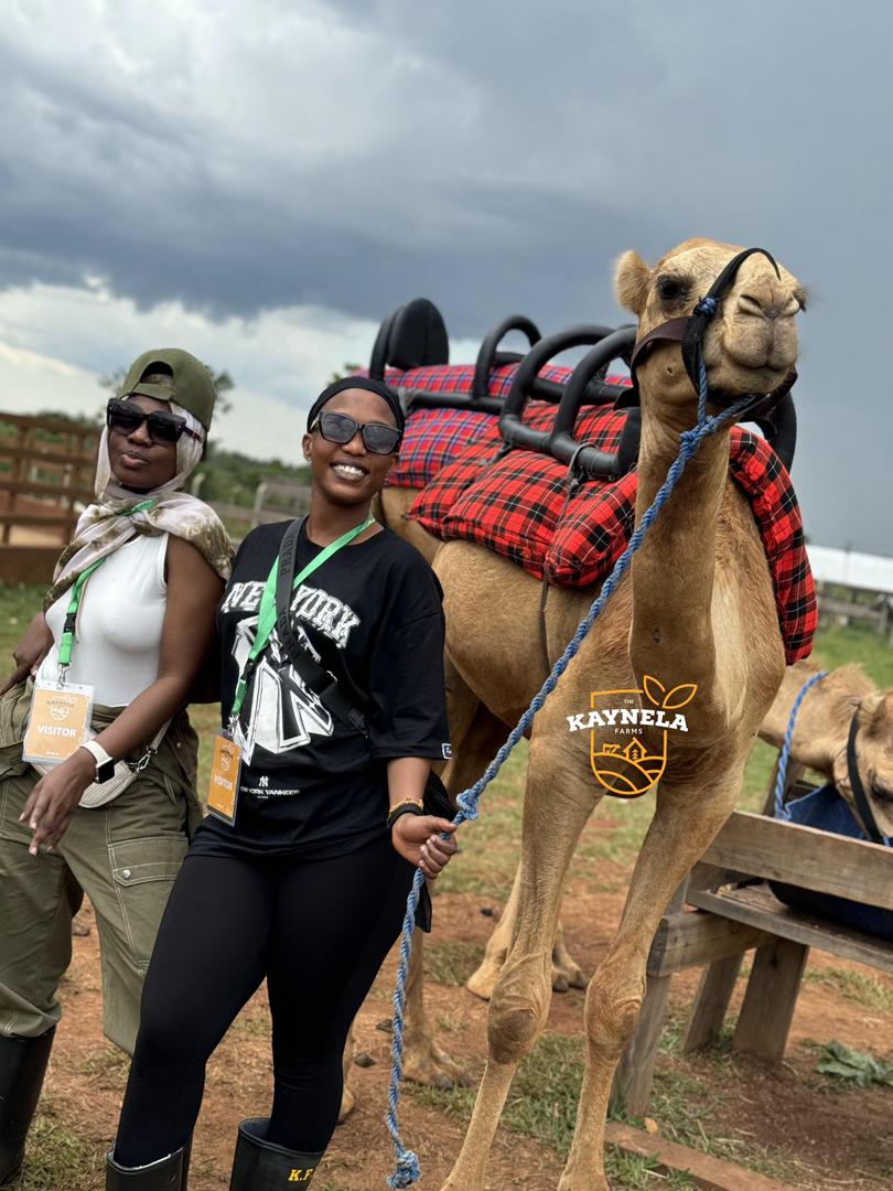 KAYNELA FARMS 
Remember your last visit to <a href="/kaynelafarmsltd/">Kaynela Farms Ltd</a> ? Expect it x10 this December 🎄🌾✨️

Book your slot now

Contact on:
☎️ +256701116511 
🌐 kaynelafarmsltd.com 

#KaynelaFarms
#KaynelaFarmFest