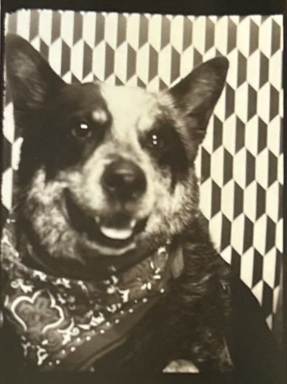 daddyscab's tweet image. My best friend got cancer and we need your help.

Please donate if you can and share 🖤

gofund.me/19f6df671