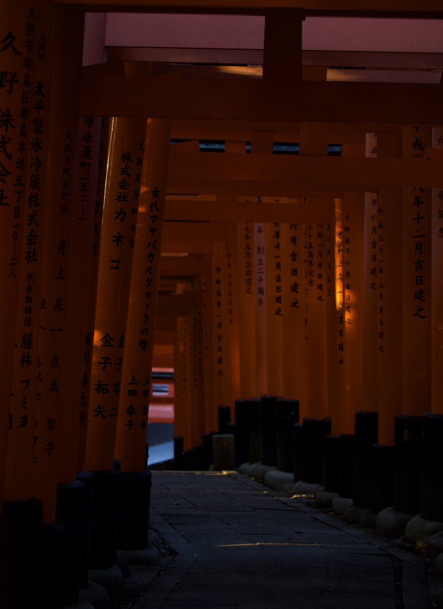 postedgo's tweet image. Got back from Japan few days ago. I will say if you want to visit Tokyo, Osaka, Kyoto now is the time to go. 

nothing against Chinese ppl but if you want some space in the cities, less wait time and to enjoy what Japan offers, this is an early Christmas gift. Going back soon🙏