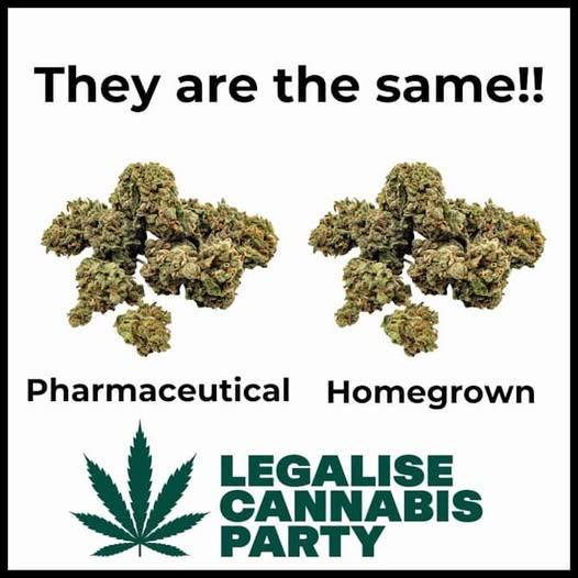 HEMP EMBASSY HEADLINES #682 | 20 NOVEMBER 2025 - mailchi.mp/hempembassy.ne…
Out in the world, I see prohibiting what I honestly think is probably nature’s best, safest medicine is now causing chaos. Sheer popularity of cannabis is overwhelming opposition to it.
HEMP Embassy Head