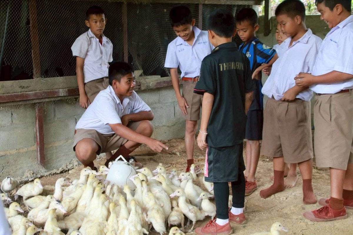 army2pr's tweet image. กองพันทหารราบที่ 2 กรมทหารราบที่ 13 จัดพิธีมอบเมล็ดพันธุ์พืชพระราชทาน และพันธุ์สัตว์ปีกพระราชทาน (เป็ดเทศกบินทร์บุรี) จำนวน 800 ตัว ให้กับ ส่วนราชการ, ประชาชนในพื้นที่จังหวัดอุดรธานี และคณะครูโรงเรียนในโครงการทหารพันธุ์ดี &quot;ชุมชนเบิกบาน อาหารปลอดภัย&quot;