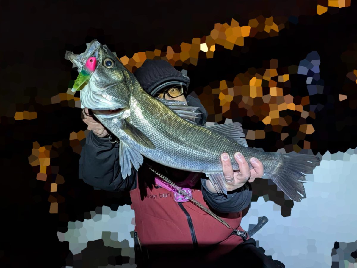 釣り吉 釣具の通販なら【安売王釣具のつり吉】| 船釣りはお任せ