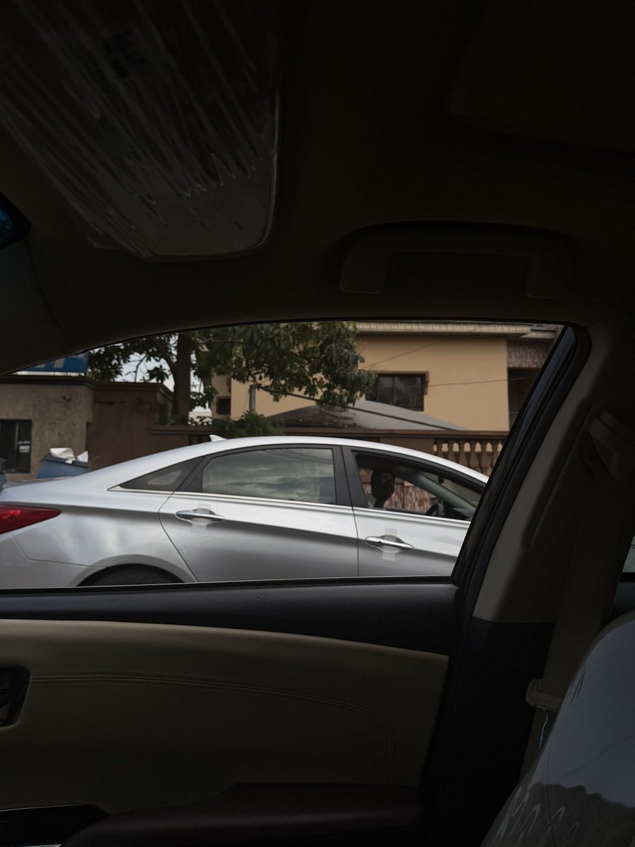 NiphermeDave's tweet image. Gm CT