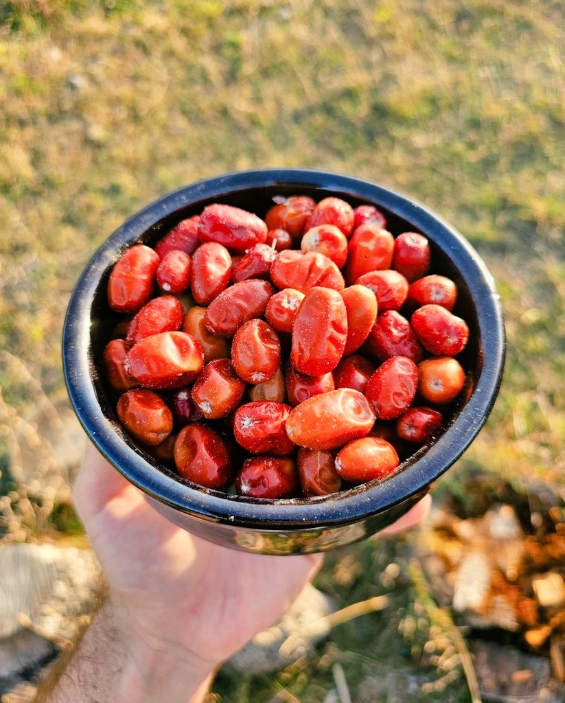 Hcmtt's tweet image. #SAFRA KESESİ TAŞI için

👇🏿👇🏻
👉5-6 adet #İĞDE yi kabuklarını biraz ayırarak kabuklarıyla beraber 1 su bardağı suda 5 dk kaynatınız ve Sabahları aç karna içiniz...👌🏿
(21 gün boyunca devam ediniz✍️)