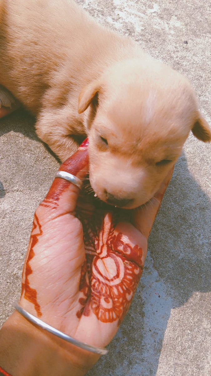 Hayee hayee,

Itna सुकून❤️