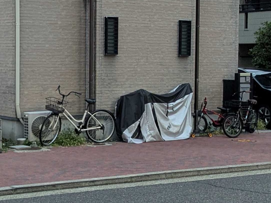 獅子舞に見えた (Lv.21) 秋祭りシーズンにほとんど見学に行けなかった