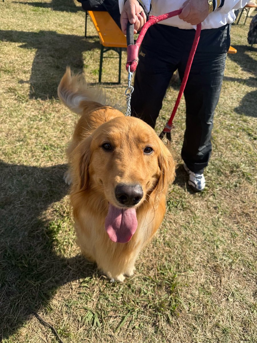 クラフト餃子フェスOSAKAの会場にはペットを連れてのご来場が可能です🐶🐱

ペット同伴優先エリアも設置しております💁‍♀️✨

落ちてしまった飲食物を誤食等してしまわないよう、お並びの際は抱き抱えるかケージ入れる、またはペットカートのご使用をお願いいたします🥟