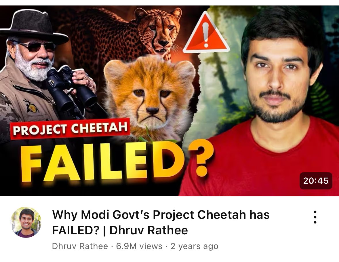 SaffronChargers's tweet image. Dhruv Rathee called Project Cheetah a failure and claimed crores were wasted for

Today, Indian-born cheetah Mukhi has given birth to five healthy cubs in Kuno. 

Once again, Dhruv Rathee&apos;s &quot;expert analysis&quot; couldn&apos;t survive reality. 🤡
