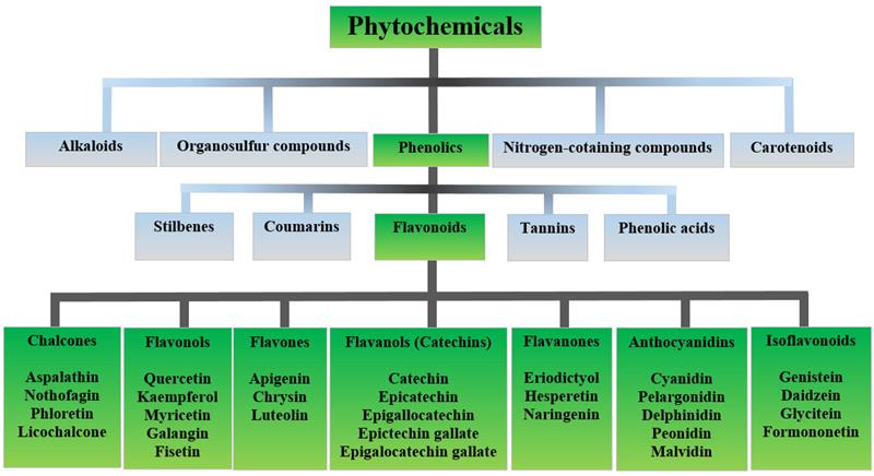 IJMS_MDPI's tweet image. 💡Check out our article related to the Hot Topics "#Bioactives and #Nutraceuticals"

📕#Flavonoids as Promising Natural Compounds in the Prevention and Treatment of Selected Skin Diseases

🧑‍🔬By Dr. Anna Birkova. et al.

🔗mdpi.com/1422-0067/24/7…

#HotTopics #OpenAccess #MDPIIJMS