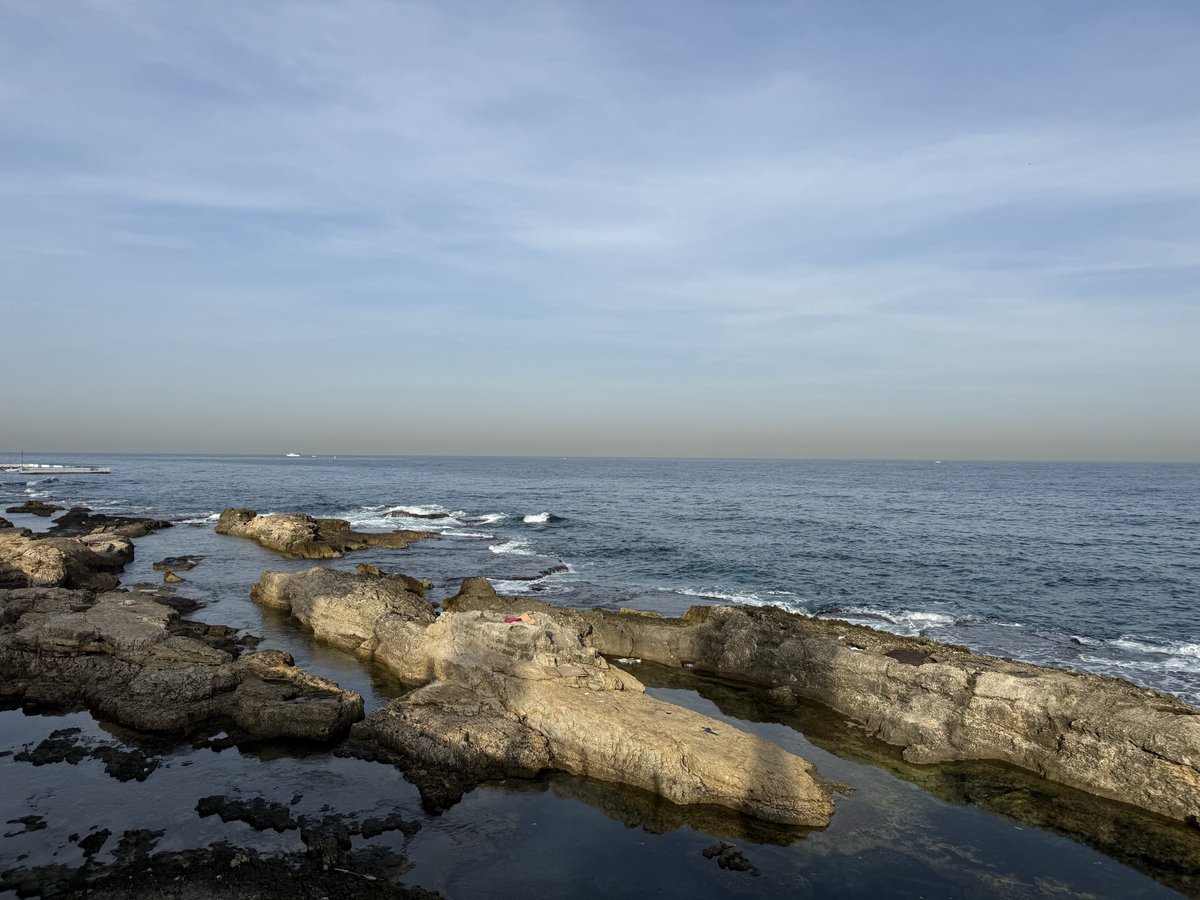 🇱🇧عـليــخـــنــدرو®️ (@manzoumi) on Twitter photo 