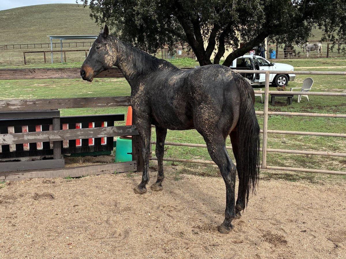 AprilWheeler5's tweet image. Like this. There&apos;s even a certain look in both of their eyes!