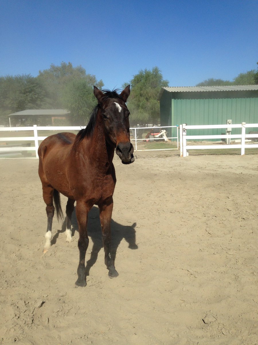 AprilWheeler5's tweet image. Like this. There&apos;s even a certain look in both of their eyes!