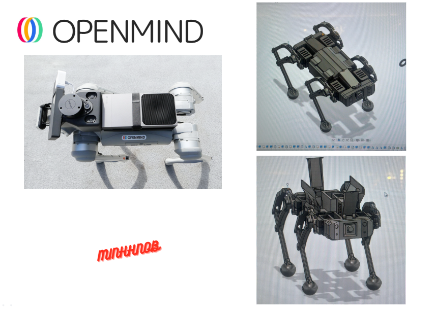 Minh🦍 tweet media