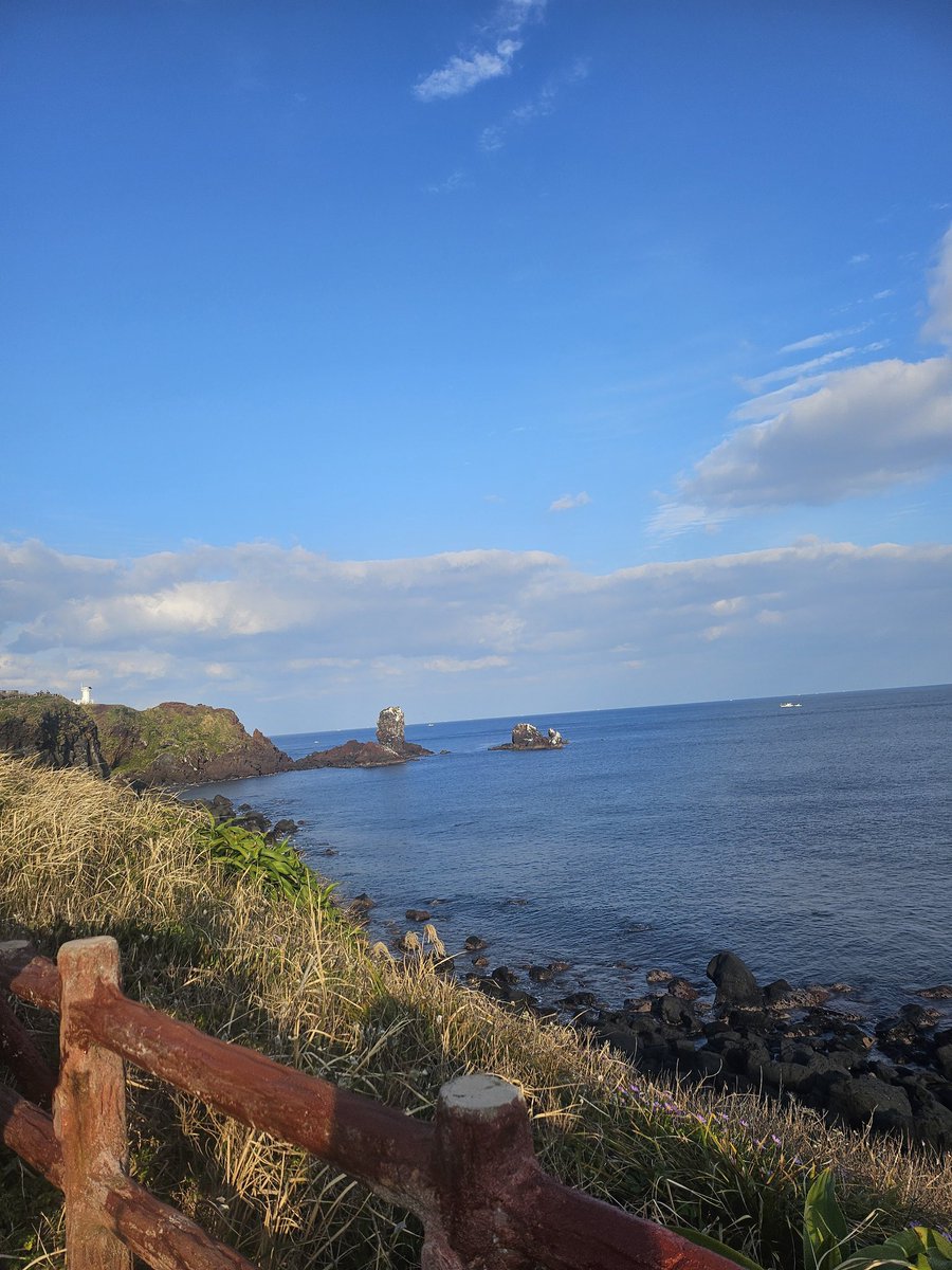 제주도에서 그냥 계속...계속.. 걷기만 해요...