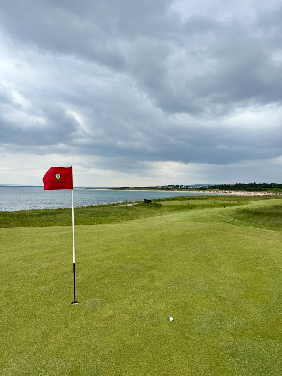 critsergolf's tweet image. Got this from the 10th at Royal Dornoch up and down too but no video… before/after is the best I can do #putter