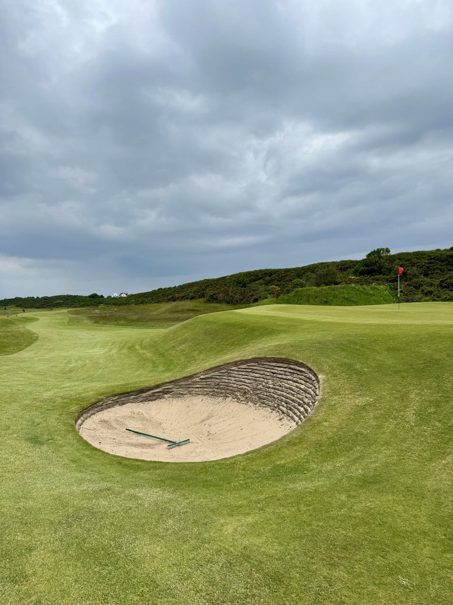 critsergolf's tweet image. Got this from the 10th at Royal Dornoch up and down too but no video… before/after is the best I can do #putter