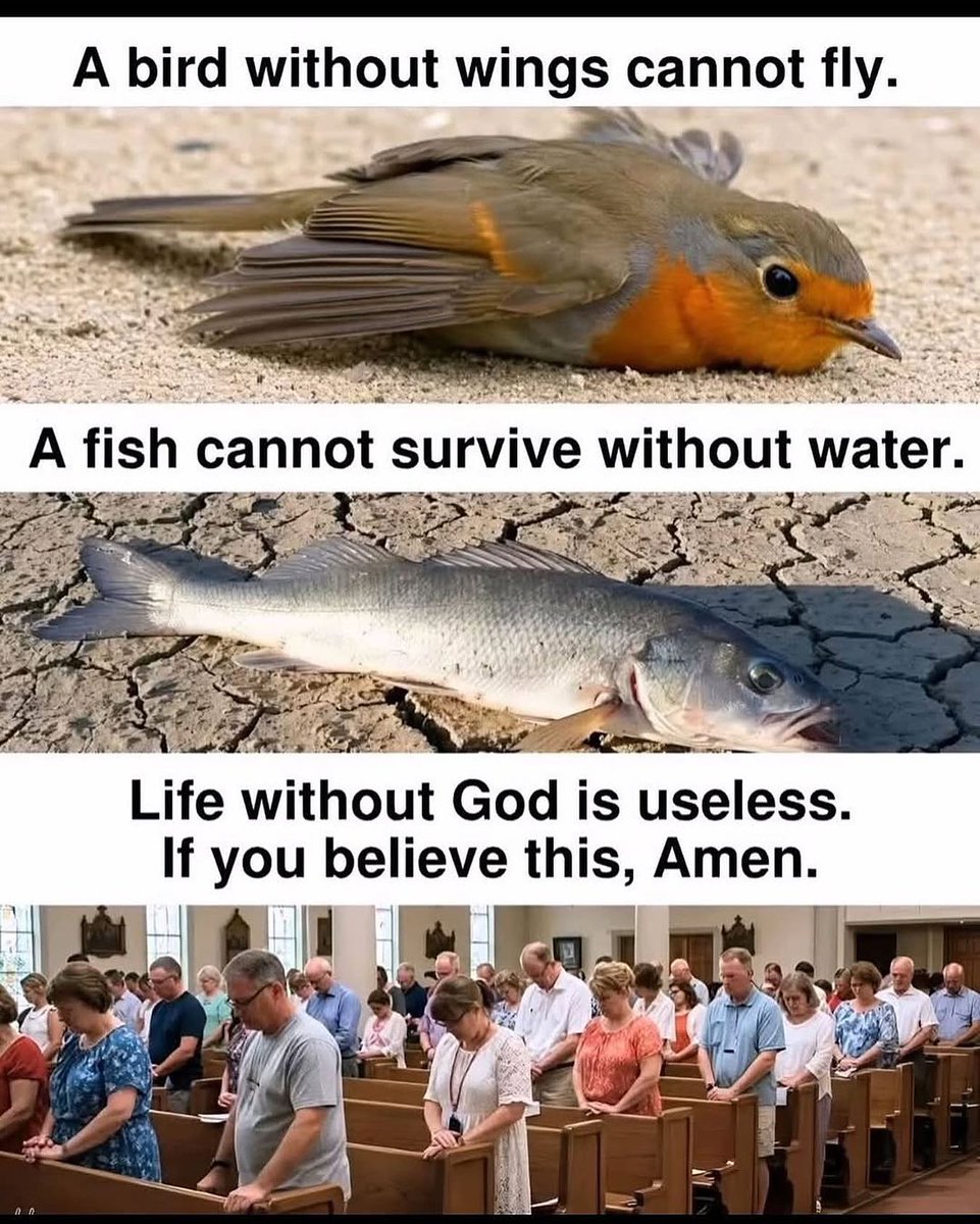 TheRich_Gospel's tweet image. Please type Amen. I beg you.