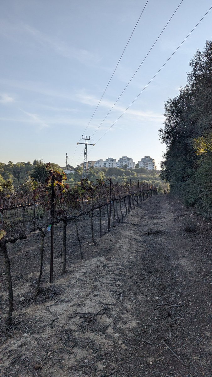 CatRobotIL's tweet image. הייתה ריצה סיוט, מאלה שאחריהן אני תוהה למה אני עושה את זה לעצמי ואפילו האנדורפינים לא הופכים את העסק לנסבל יותר. מהימים שאני מקנא באנשים שלא מתעללים בגוף שלהם להנאתם.