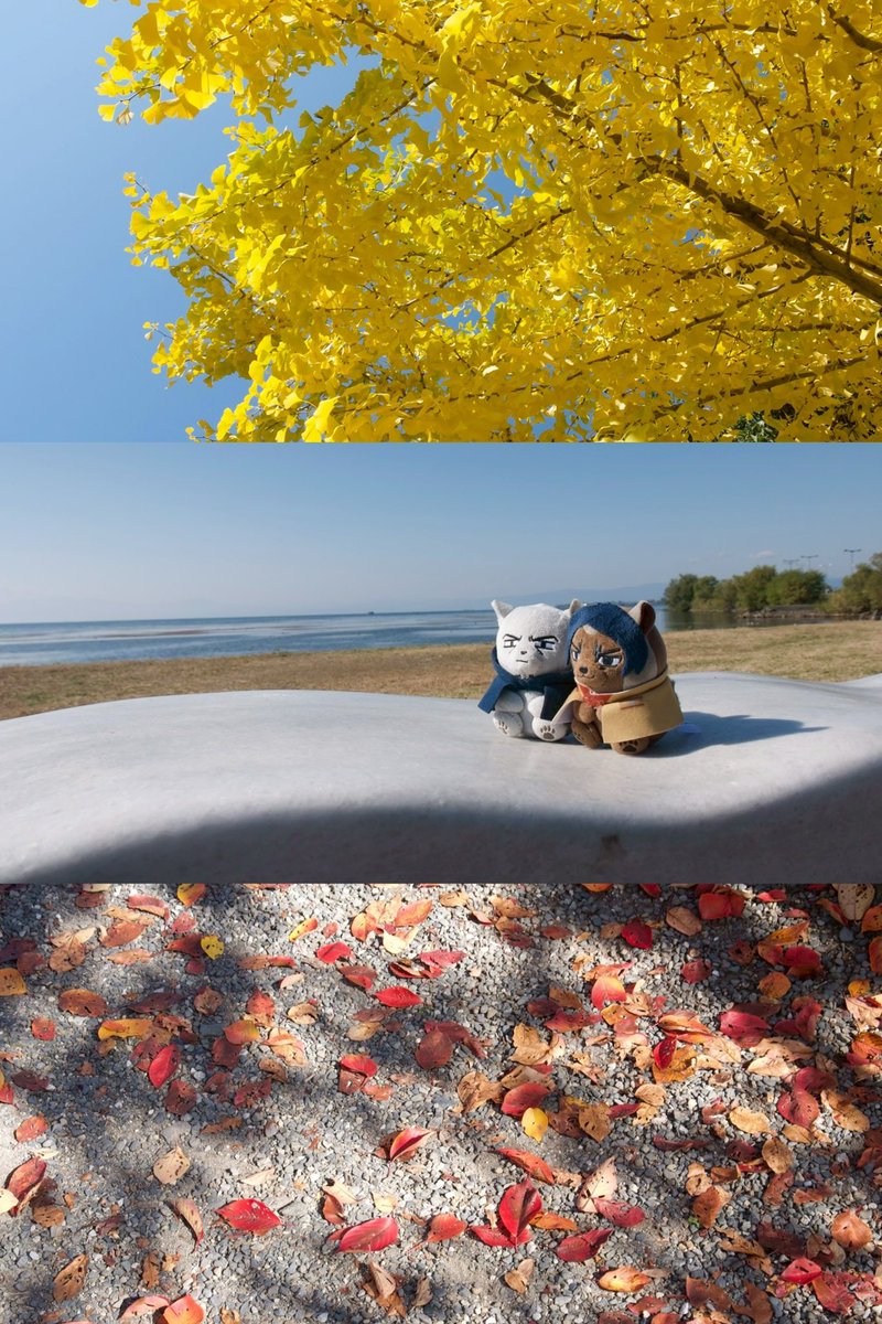 memota_27's tweet photo. 秋🍁ふぉ〜ぜを撮りました📷

ふぉぜの主 @nade815 
studio @enishi_studio https://t.co/PIx6U52ZXI