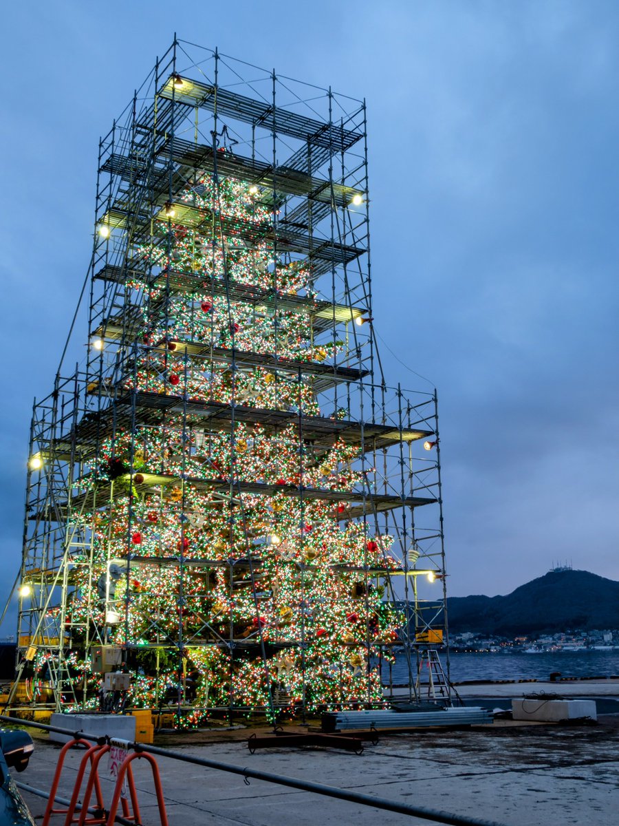 とうふ (@toufu_soreyon) / Posts / X