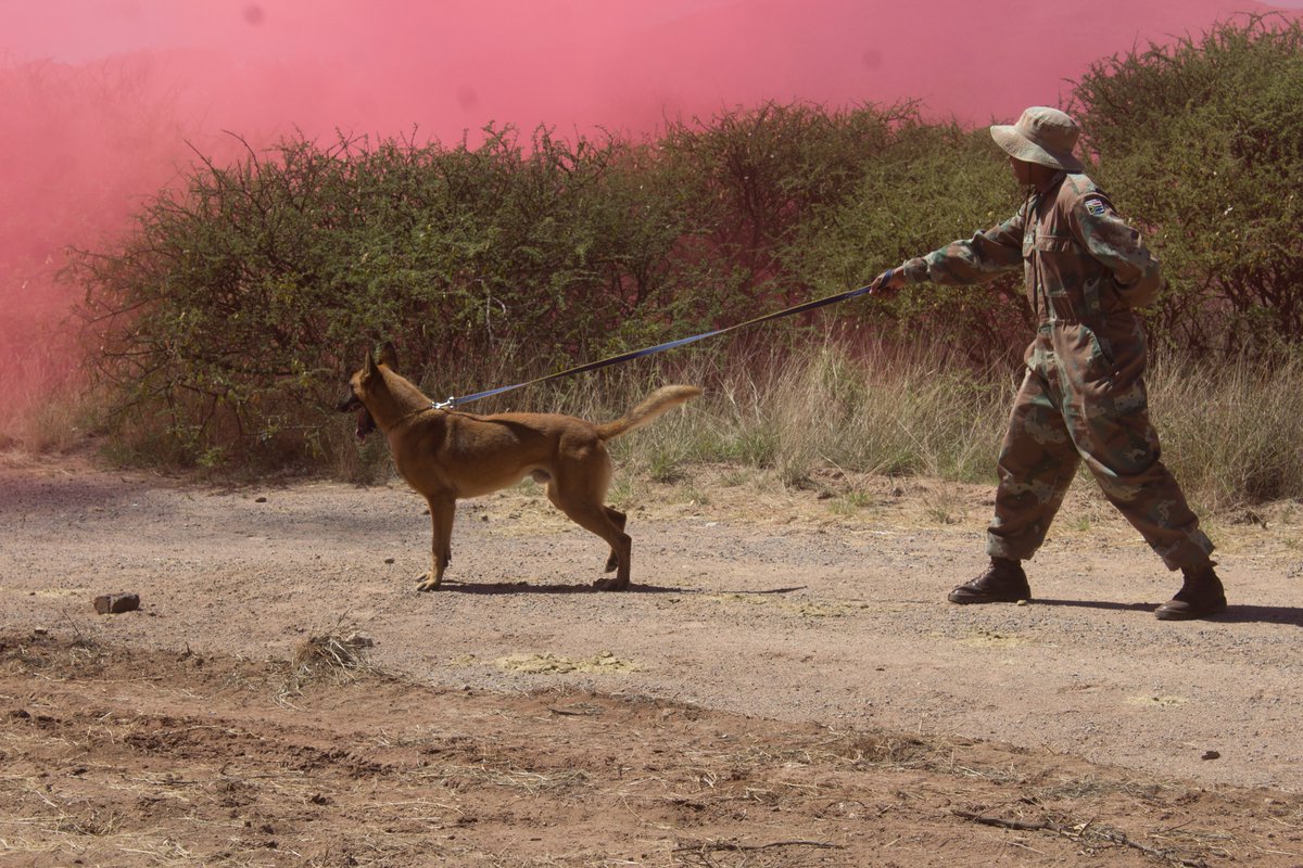 SANDF_ZA's tweet image. #SAArmy Article || Exercise VUKUHLOME IV || Combat Sound and Smoke Socialization with Horses and Dogs.

facebook.com/share/p/1H4Can…

#SANDF
#PrideOfLions
#EXCONVUKUHLOME_IV
#ExerciseVUKUHLOME_IV