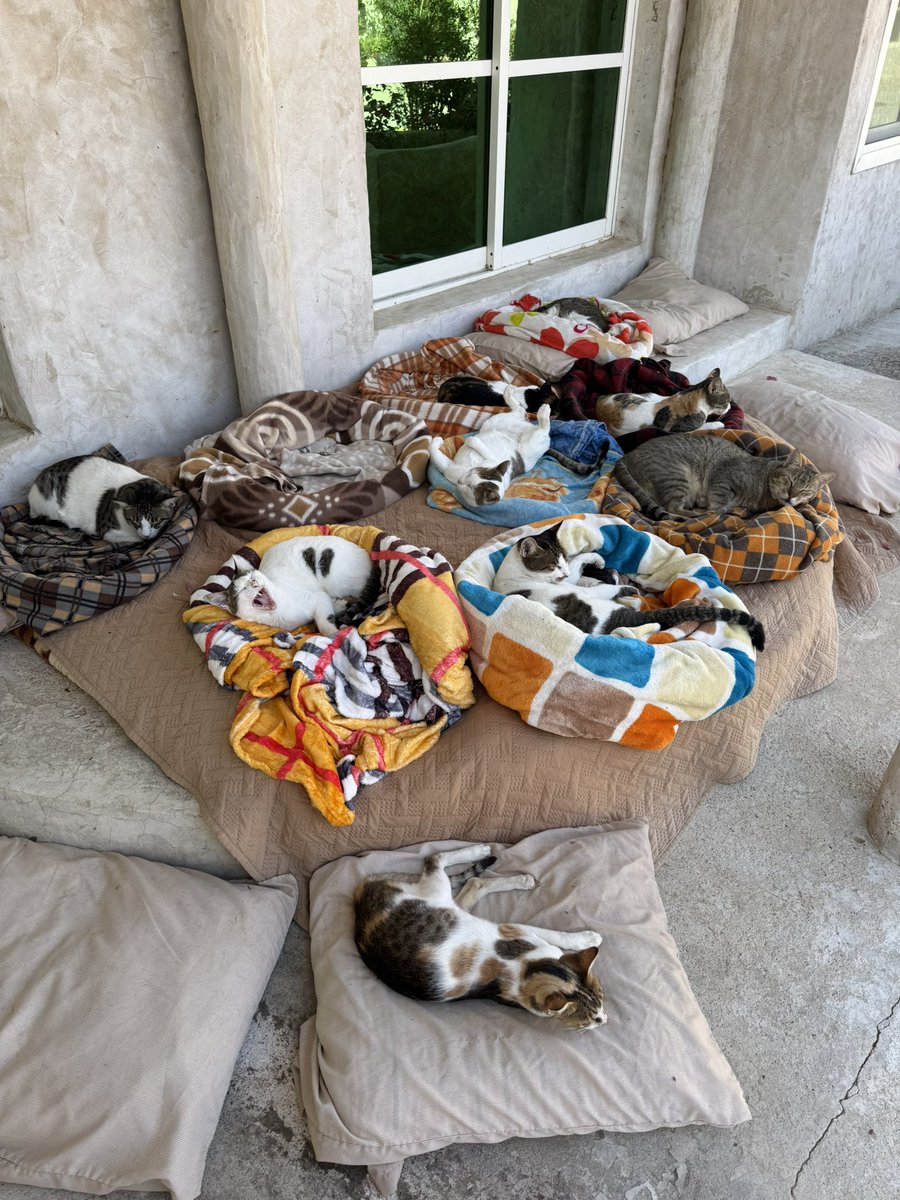 mOzzie¹²⁷ (@848etk) / Posts / X