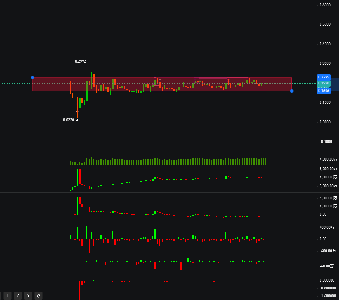 猫叔.𝓒𝓪𝓶𝓮𝓵𝓵𝓲𝓪 tweet media