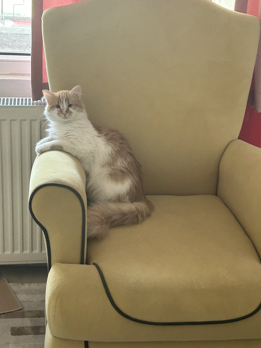 Odama girerken kapıyı çalar mısın??