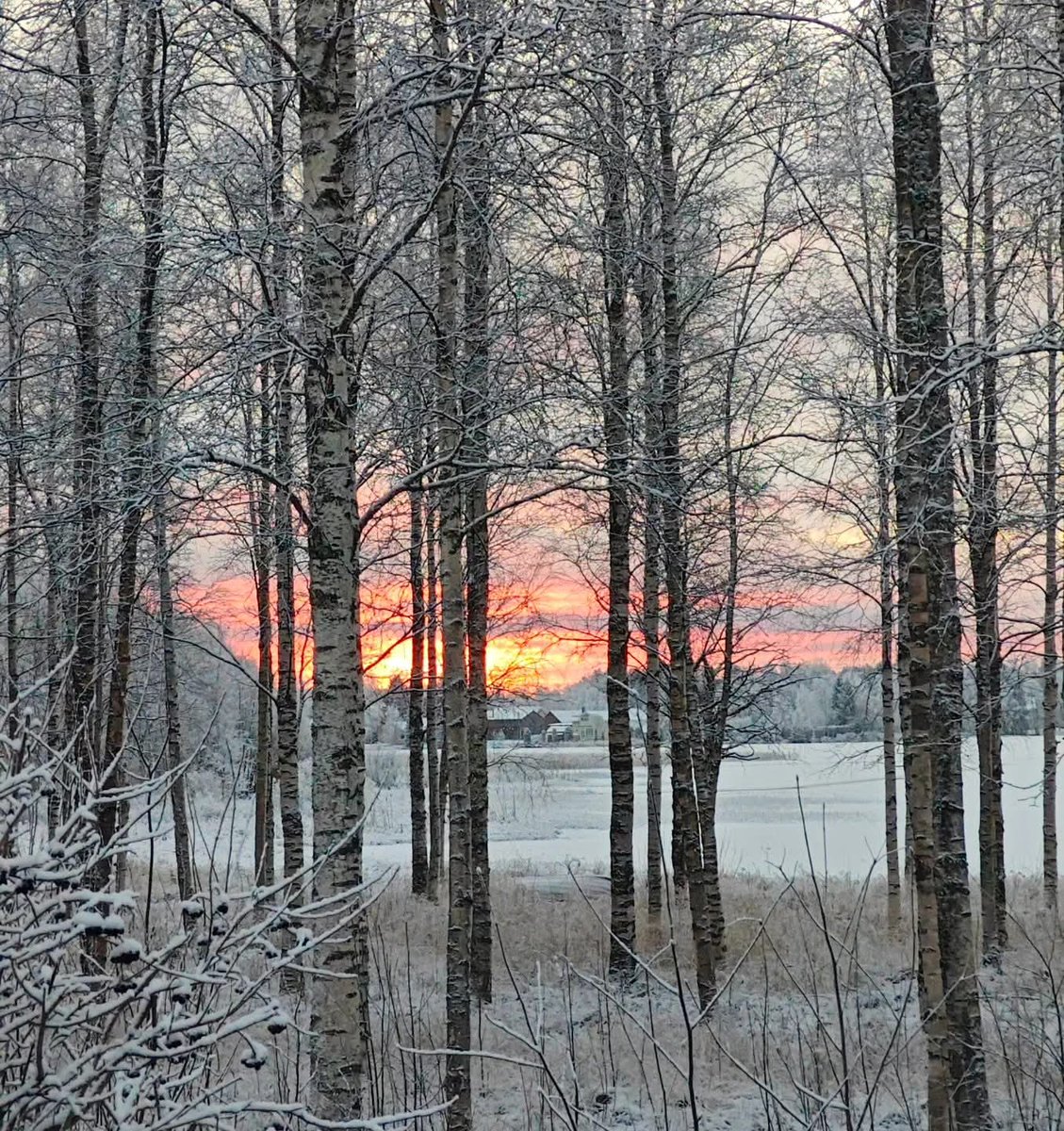 Kaunista pakkaspäivää ❄️☀️✨ #snow #sunrise
