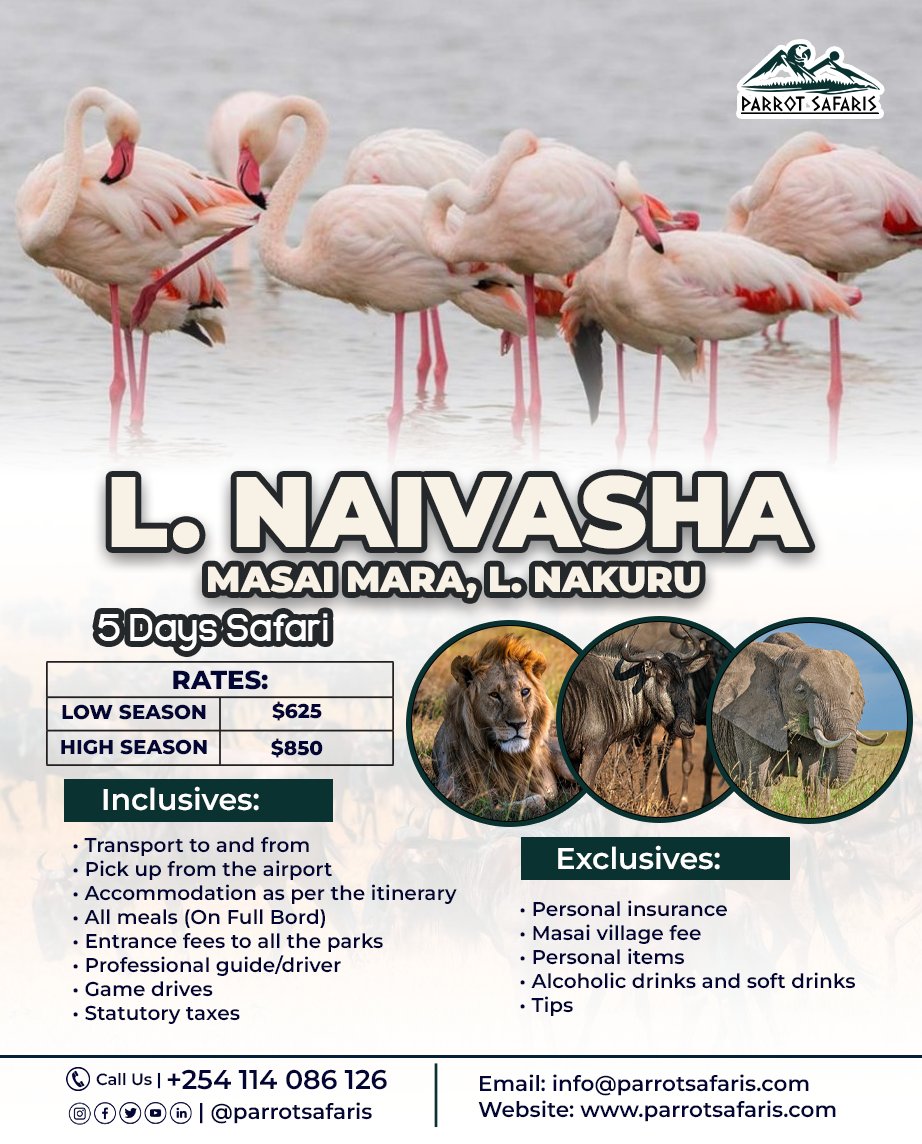 ParrotSafaris's tweet photo. From flamingo-filled lakes to big cat encounters — this 5-Day Naivasha, Masai Mara &amp; Nakuru Safari brings you the very best of Kenya’s wild beauty.

Book now: +254 114 086 126
Parrot Safaris — Explore More, Live Wild.

#parrotsafaris #tourpackages #lakenaivasha https://t.co/iwmeSuMbYF