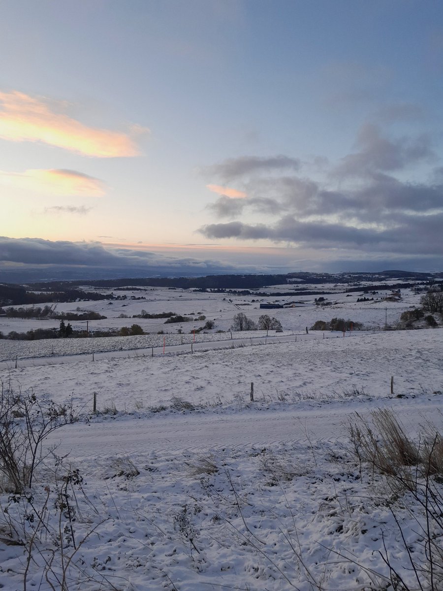 Le chien blanc est arrivé .
#chassepartage