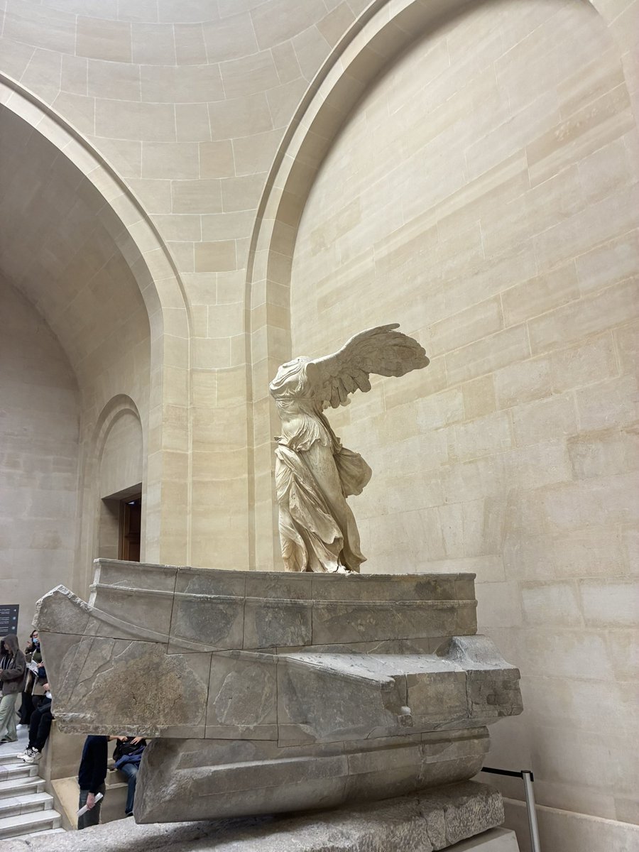 Wildkatze tweet media