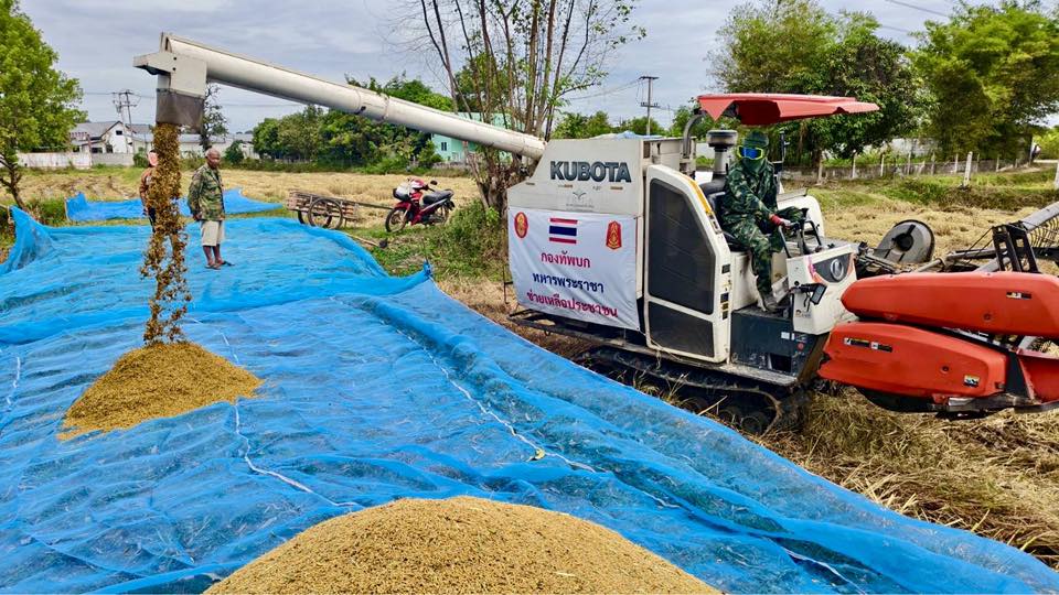 army2pr's tweet image. พลตรี วิชิต มักการุณ ผู้บัญชาการมณฑลทหารบกที่ 27 อนุมัติให้ ชุดปฏิบัติการรถเกี่ยวข้าว ออกเกี่ยวข้าวช่วยเหลือเกษตรกรชาวนาในราคาถูก เพื่อลดต้นทุนการเก็บเกี่ยวผลผลิต ณ หมู่ 13 บ้านหนองบัวทอง ตำบลเหนือเมือง อำเภอเมือง จังหวัดร้อยเอ็ด พื้นที่นา 10 ไร่ ได้ข้าวเปลือกจำนวน 3,000 กิโลกรัม