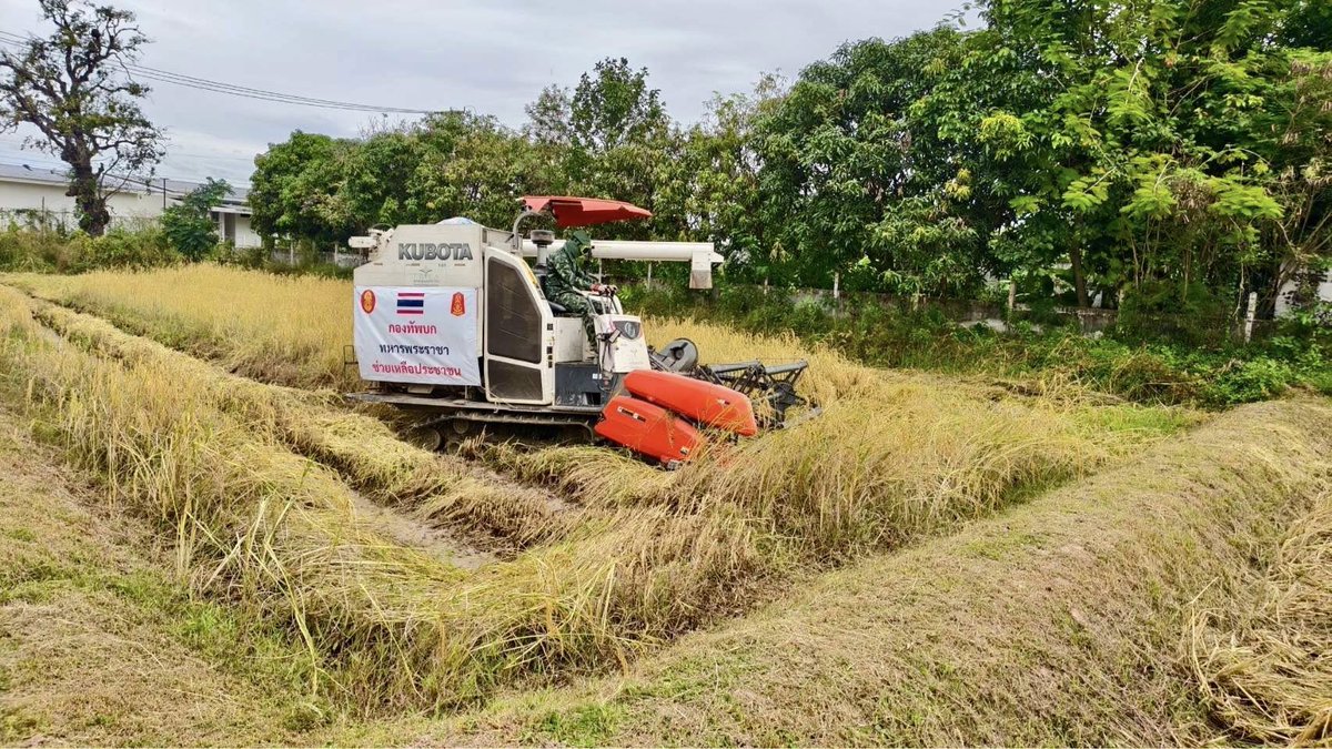 army2pr's tweet image. พลตรี วิชิต มักการุณ ผู้บัญชาการมณฑลทหารบกที่ 27 อนุมัติให้ ชุดปฏิบัติการรถเกี่ยวข้าว ออกเกี่ยวข้าวช่วยเหลือเกษตรกรชาวนาในราคาถูก เพื่อลดต้นทุนการเก็บเกี่ยวผลผลิต ณ หมู่ 13 บ้านหนองบัวทอง ตำบลเหนือเมือง อำเภอเมือง จังหวัดร้อยเอ็ด พื้นที่นา 10 ไร่ ได้ข้าวเปลือกจำนวน 3,000 กิโลกรัม