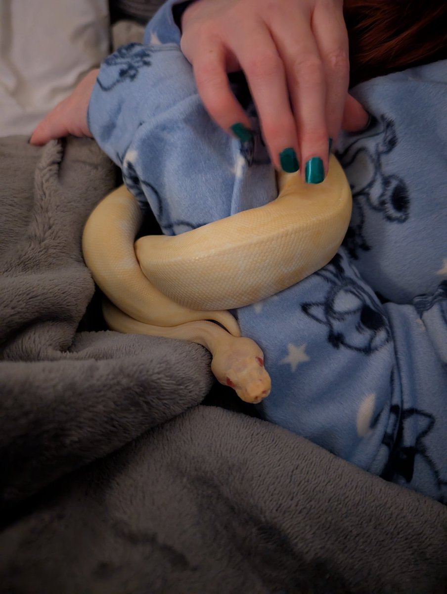 She is right at home. Updated the swap/sell group that she was found in last night and there is a lot of love. Still can't believe she was just left to wander the streets when she is so loving, luck was on my side though 💕