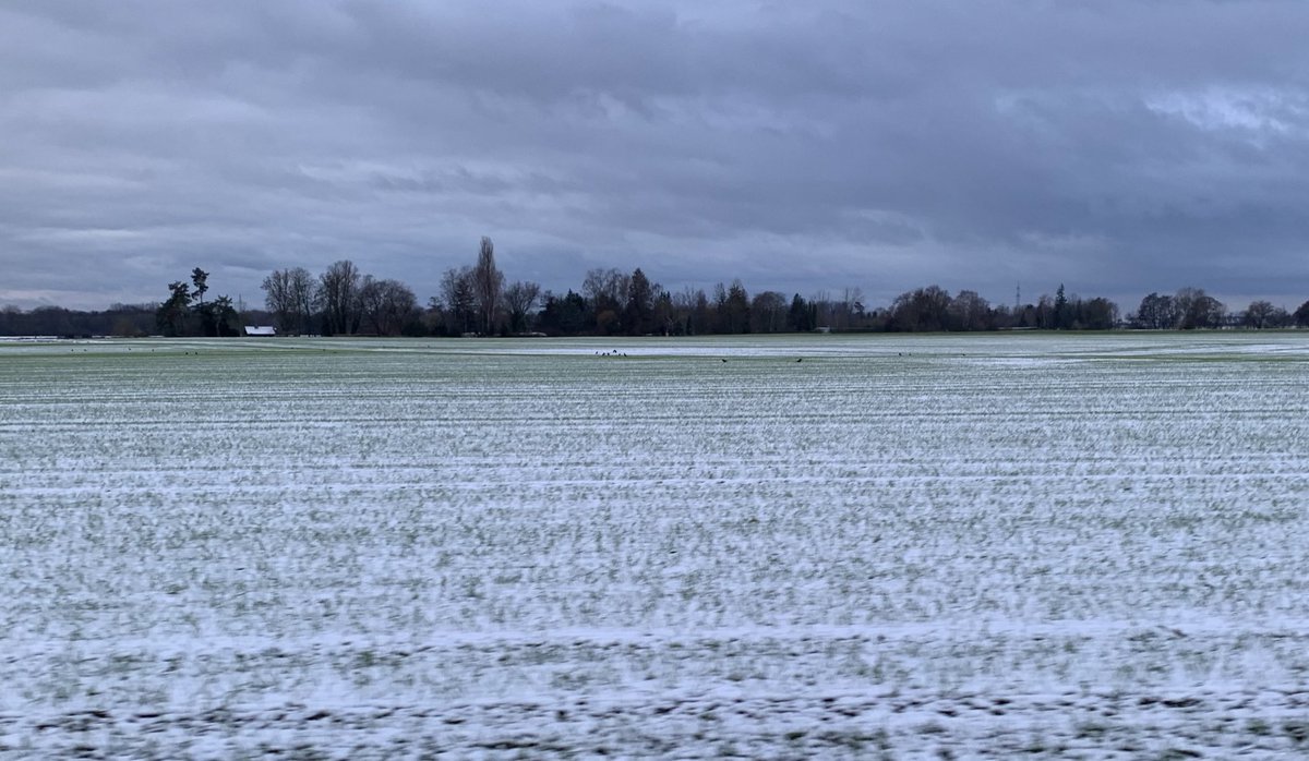 Mitte November liegt Schnee. Können wir jetzt bitte den Klimascam beenden, den Gretischismus verbieten, die EE- Profiteure entgelden und wieder zivilisiert leben?