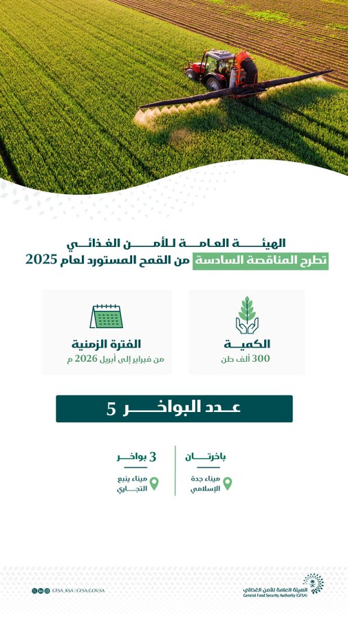 هيئة الأمن الغذائي تطرح آخر مناقصات 2025 لاستيراد 300 ألف طن قمح