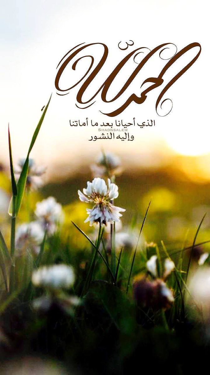 وفاء العالمية 💛💙🇸🇦 (@wafa20055) on Twitter photo 