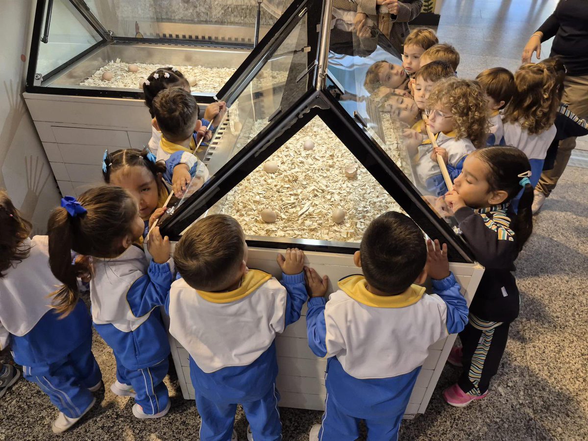 Los niños y niñas de 3 años B hemos pasado una mañana increíblemente divertida en L’espai dels xiquets. 
¡¡¡Mirad cuantas cosas tan chulis hemos hecho!!! 👷🏽🐍♥️ <a href="/CACiencies/">Ciudad Artes Ciencia</a> más fotos en Instagram