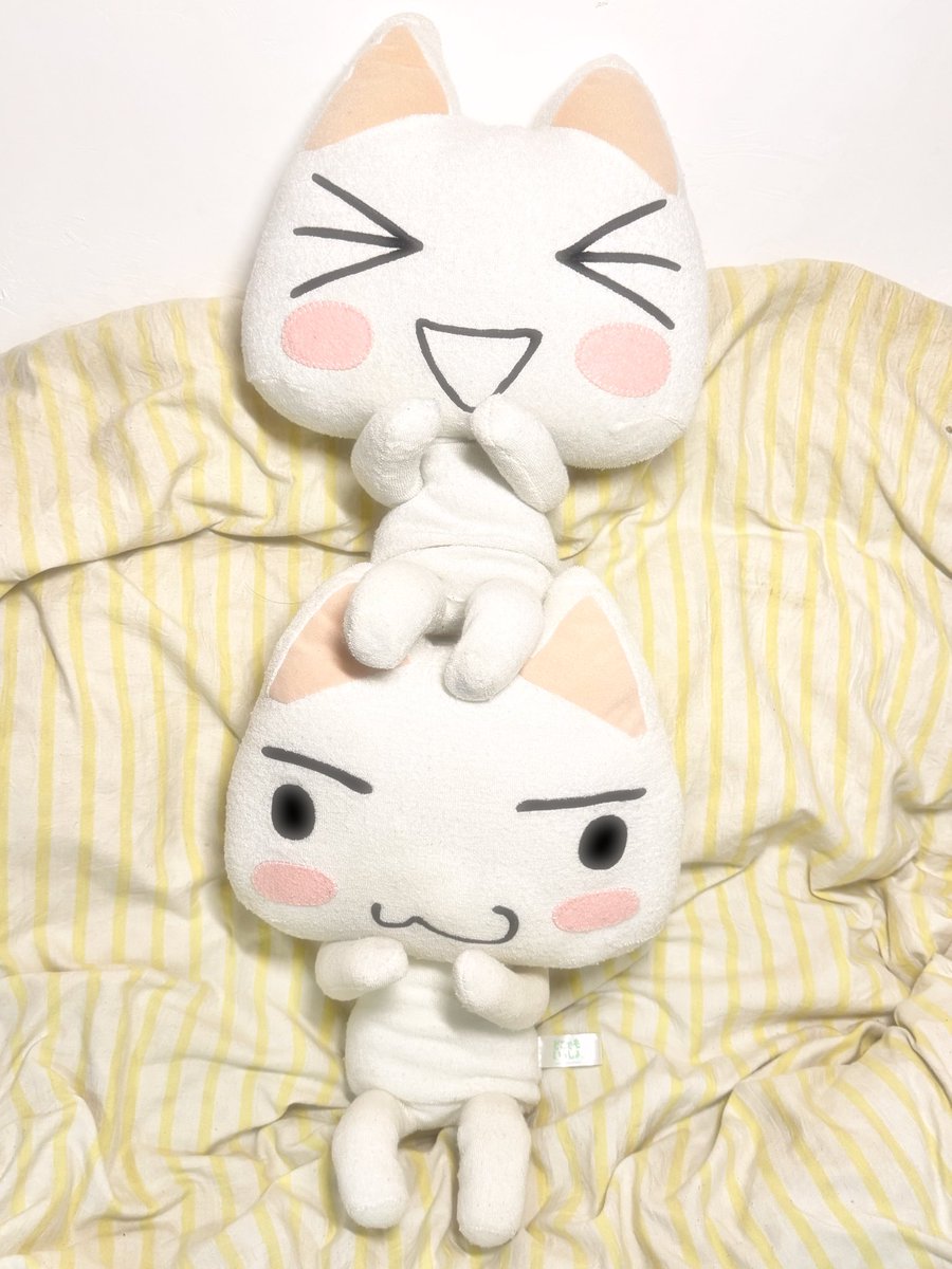 kikukawamio's tweet image. 2枚目のポーズに挑戦してみた( ´ ▽ ` )ﾉ #どこでもいっしょ #トロ #dokodemoissyo  #sonycat