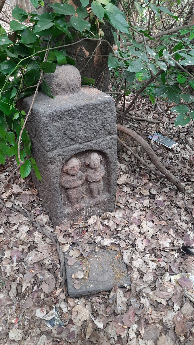 rammuladevrai's tweet image. 🌳@moefcc Time for an urgent, comprehensive policy to protect #Sacredgrove #forests in India as mandated by the Hon&apos;ble Supreme Court  &amp;amp; existing legal frameworks for #wildlife. @MahaForest @BiswasShomita @ForestSurvey #RFD
#SaveRamMulaDevrai #Pune #city

punekarnews.in/pune-evironmen…