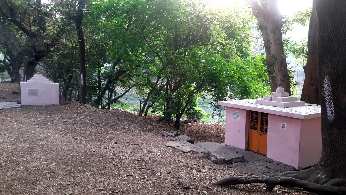 rammuladevrai's tweet image. 🌳@moefcc Time for an urgent, comprehensive policy to protect #Sacredgrove #forests in India as mandated by the Hon&apos;ble Supreme Court  &amp;amp; existing legal frameworks for #wildlife. @MahaForest @BiswasShomita @ForestSurvey #RFD
#SaveRamMulaDevrai #Pune #city

punekarnews.in/pune-evironmen…