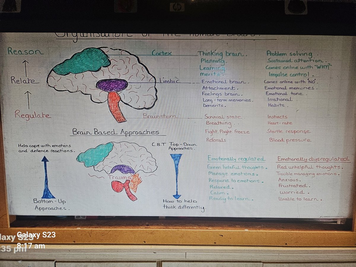 gerrydiamond71's tweet image. Pupils brains do not learn, process, or absorb information in hypervigilance. It becomes difficult to access the hippocampus,the part of the brain for memory &amp;amp; learning consolidation,which means it is harder for them to form new memories &amp;amp; harder to access what they do know🧠🌱