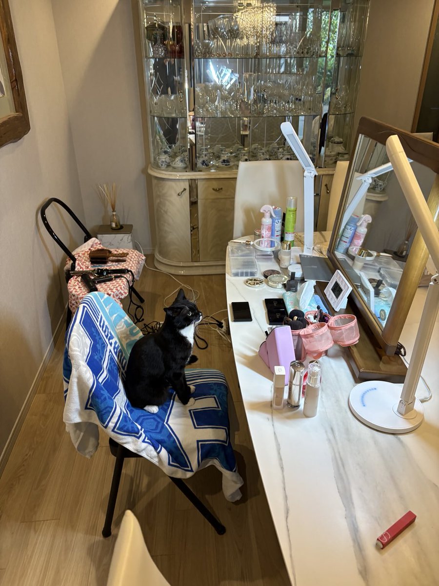 【ayakoページ】 Sサイズ 〕 アンゴラウール Aラインショートコート（96-15WI03-204