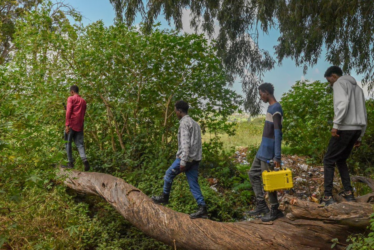 Denmark in Addis tweet media