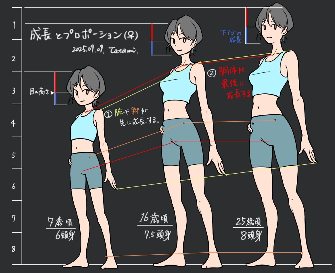 tatami_loop's tweet image. 成長期のプロポーション（再掲）

第2次成長は手足の末端から伸びるので、中高生は大人に比べて、相対的に手足が長くなる傾向があります。
若いスポーツ選手を見るとこのプロポーションが多い。…