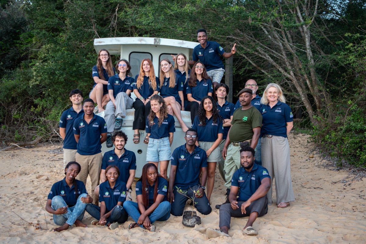 Na última semana, os estudantes desenvolveram diversas actividades práticas de campo que permitiram aplicar métodos de investigação ecológica em contextos reais. Todas essas actividades culminaram na apresentação dos resultados, consolidando a integração entre teoria e prática.